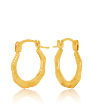 60B5540-99 9Y Hexagon 6mm Diameter Alternating Satin/Polished Finished Hoop Earrings