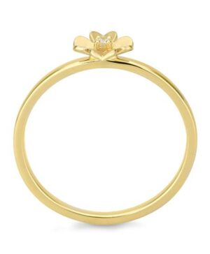 41/06421-0 - 375/- yellow - diamond fc 0,015 Ct. H/si Rings