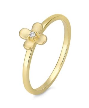 41/06420-0 - 375/- yellow - diamond fc 0,015 Ct. H/si Rings