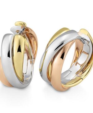 06/61193-0 - 375/- Y/W/R Earrings