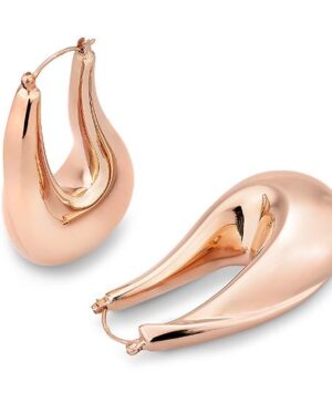06/60382-5 - 925/- red Earrings