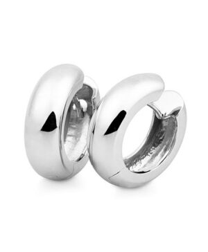 06/03703-0 - 925/- RH Earrings