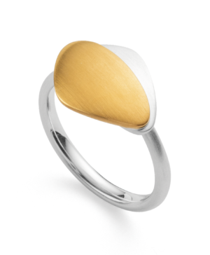 4390156 – 925/- Ring, partially fg, matte rho.