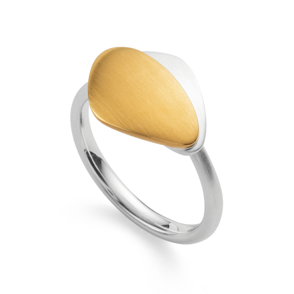 4390156 – 925/- Ring, partially fg, matte rho.